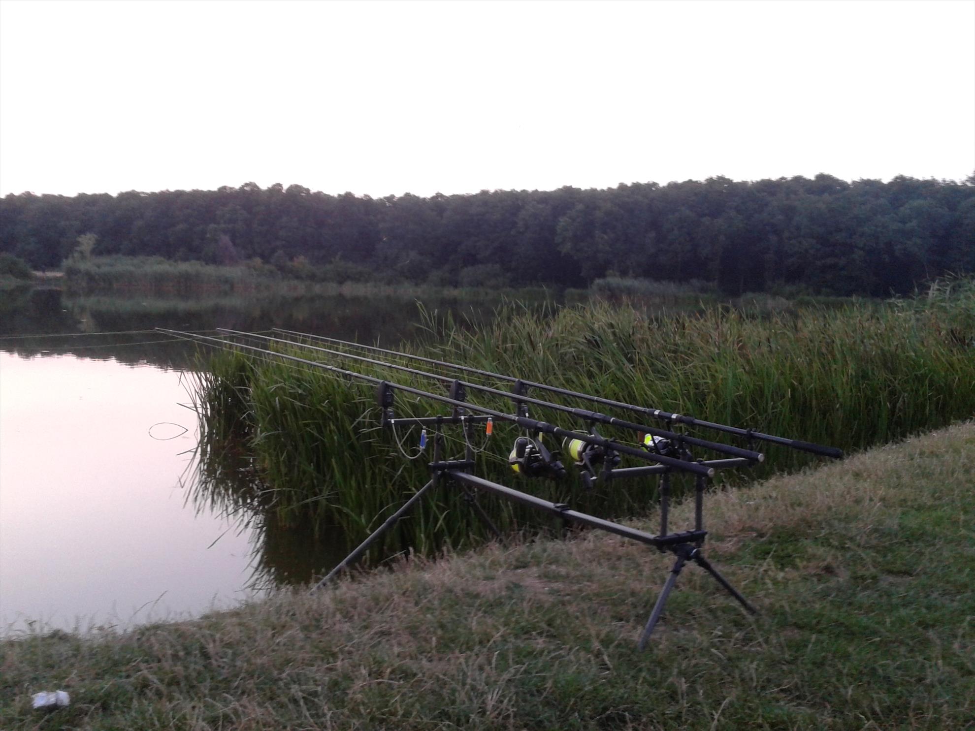 1 - 2013-07-19-2113251.jpg